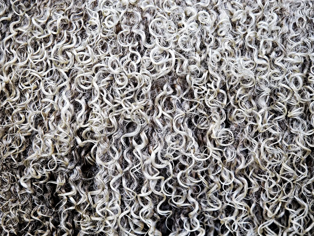 wool, fleece, sheep, woollen, coat, ringlet, curl, hair, shear, shearing, knit, knitting, white, grey, black, lanolin, textile, raw, material, fiber, fibre, strands, weave, tangle, wavy, texture, gray hair, fleece, fleece, fleece, fleece, fleece, sheep, knit, knit, textile. Why does bio-based fiber work in Portland outerwear but fail in Miami swimwear?