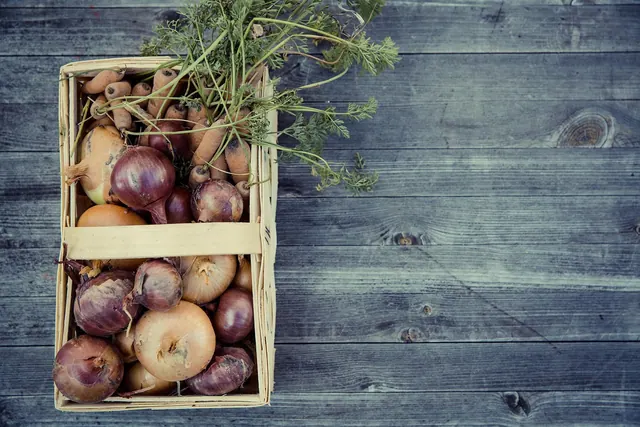 vegetables, harvest, cultivation, thanksgiving, garden, fresh, onions, carrots, multicoloured, bio, food, nature, basket, self-sufficiency, self-sufficient, home made, urban, garde