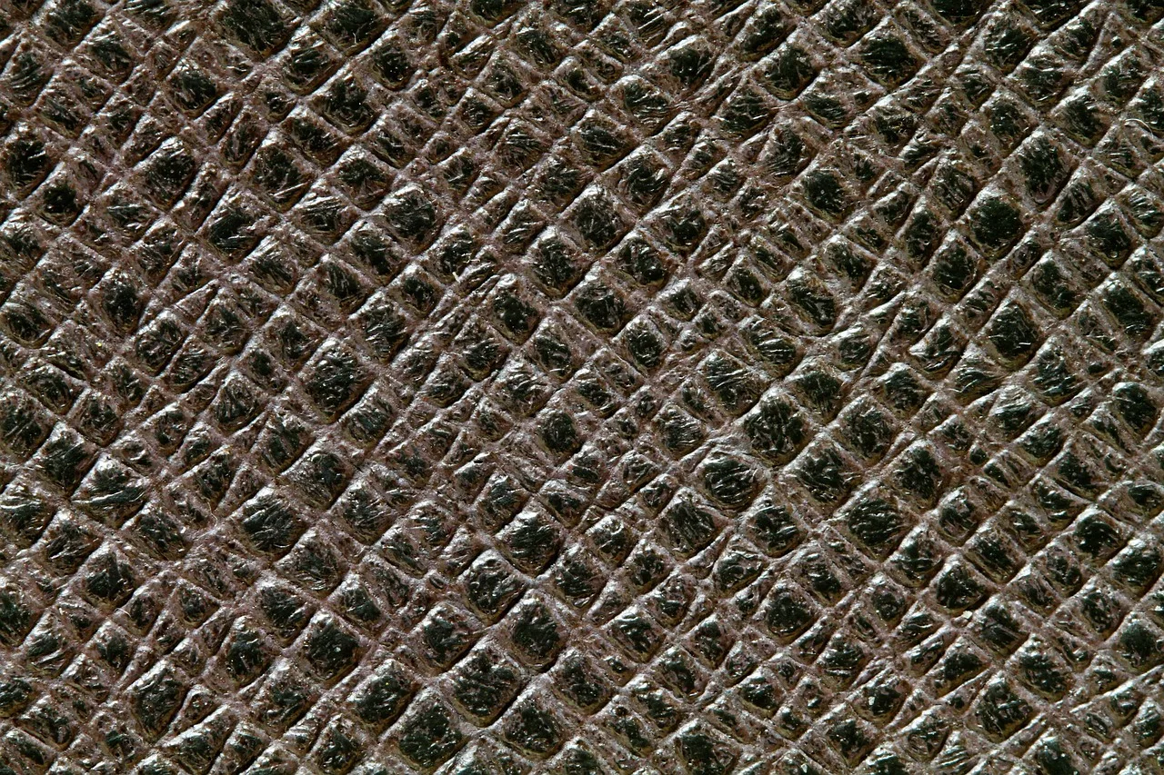 texture, leather, leather texture, animal skin, leather, leather texture, leather texture, leather texture, leather texture, leather texture, animal skin, animal skin. Biosynthetic and biofabricated materials, reviewed without the sales pitch