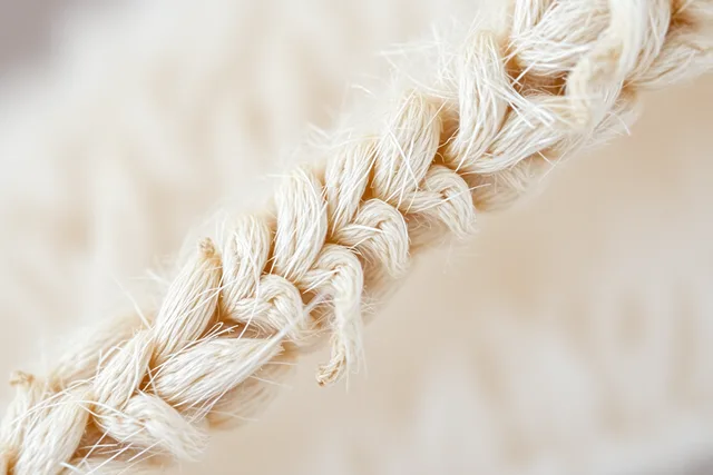 Magnified wool fiber showing overlapping surface scales that cause felting. Solid thinking about textile fibers rests on the fundamentals